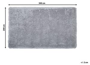 Világosszürke hosszú szálú szőnyeg 200 x 300 cm CIDE