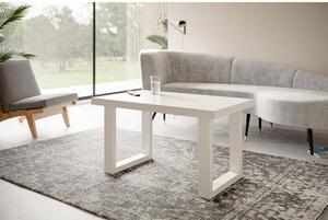 Konferenční stolek LOFT PROSTA 100x60 cm Bílá Bílá