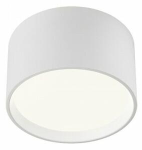 CYLINDER Modern LED mennyezeti lámpa, fehér/ fehér, 25x 45 cm