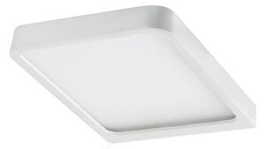 Paulmann Vane LED pultvilágító lámpa 2 db