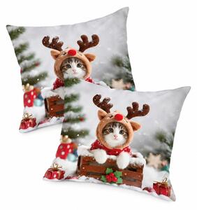 2 db-os Párnahuzat szett 3D RUDOLPH KITTEN 45x45 cm