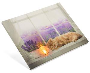 NEXOS Falikép macska az ablakon 1 LED 30 x 40 cm