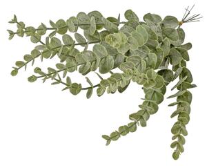 Eukaliptusz köteg, 10 szálas, 34cm magas - Zöld