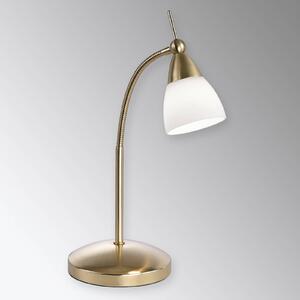 Paul Neuhaus Pino asztali lámpa, sárgaréz, 45 cm, fényerőszabályzó, G9, dimmelhető, Sárgaréz / arany, Nappali / Étkező, fém, Modern