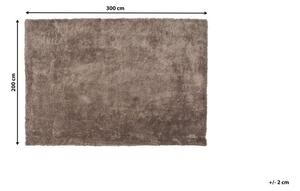 Világosbarna hosszú szálú szőnyeg 200 x 300 cm EVREN