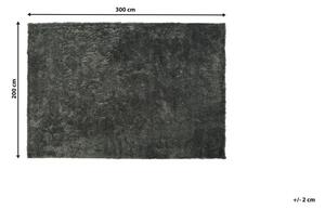 Sötétszürke hosszú szálú szőnyeg 200 x 300 cm EVREN