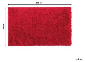 Piros hosszú szálú szőnyeg 200 x 300 cm CIDE