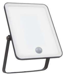 Ledvance Essential Floodlight kültéri LED reflektor mozgásérzékelővel, extra hidegfehér, 30 W