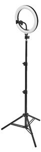 Ledvance LinearLED szabályozható LED szelfi lámpa mobilhoz, állvánnyal, Bluetooth vezérléssel