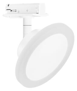 Ledvance Tracklight Spot Circle Smart+ WIFI intelligens sínes LED lámpa, hideg/melegfehér, 6,5 W, fehér