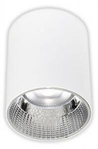 LED lámpatest , mennyezeti , 15W , természetes fehér , UGR<16 , IP54, Csomagolássérült