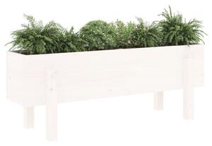 VidaXL fehér tömör fenyőfa kerti magaságyás 101 x 30 x 38 cm