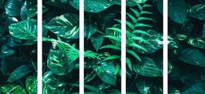 5-részes kép friss trópusi levelek