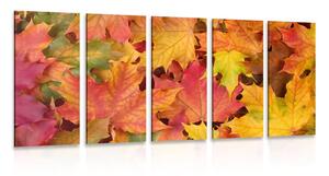 5-részes kép őszi levelek