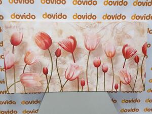 Kép lazac lazac rózsaszín tulipánok