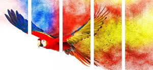 5-részes kép szálló papagáj