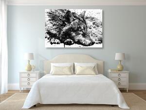 Kép farkas akvarell kivitelben fekete fehérben