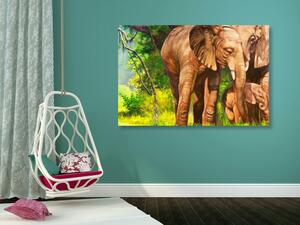 Kép elefánt család
