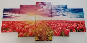 5 részes kép napkelte tulipánok felett
