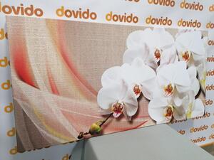 Kép fehér orchidea vásznon