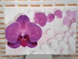 Kép orchidea absztrakt hattéren
