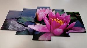 5 részes kép rózsaszínű lótusz virág
