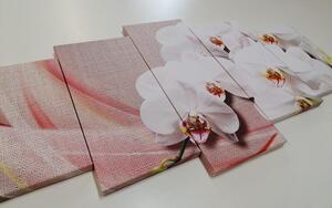 5 részes kép fehér orchidea vásznon