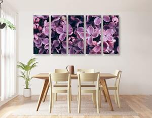 5-részes kép lila orgona virágjai