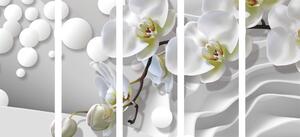 5-részes kép orchidea absztrakt háttéren