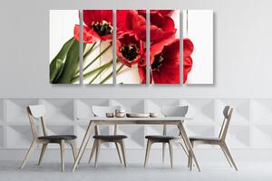 5-részes kép tulipán virágok