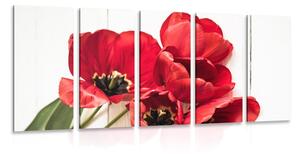 5-részes kép piros tulipán virág
