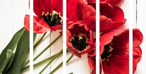 5-részes kép tulipán virágok