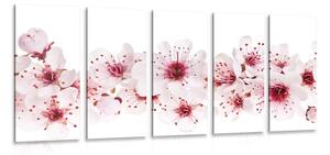 5-részes kép cseresznye virág
