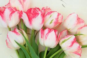 Kép tavaszi tulipánok