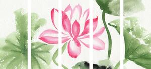 5-részes kép akverell lótusz virág