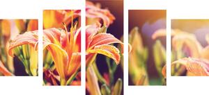 5-részes kép virágzó virágok a kertben