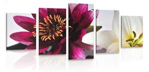 5-részes kép virágok Zen kövekkel