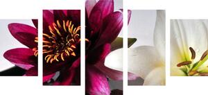 5-részes kép virágok Zen kövekkel