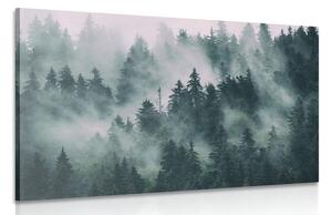 Kép hegyek ködben