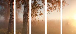 5-részes kép őszi erdő ködben