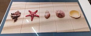 5-részes kép tengeri kagylókból a homok tengerparton