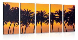 5-részes kép naplemente pálmák felett