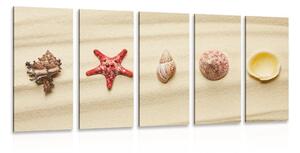5-részes kép tengeri kagylókból a homok tengerparton - 100x50