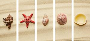 5-részes kép tengeri kagylókból a homok tengerparton - 100x50