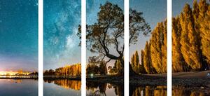 5-részes kép fa a csillagos ég alatt