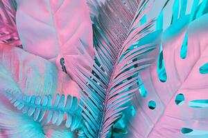 Kép pálmafa levelek érdekes színben neon színben