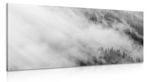 Kép erdő ködben fekete fehérben
