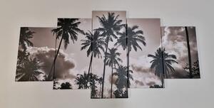 5 részes kép kókusz pálmafák a tengerparton fekete fehérben