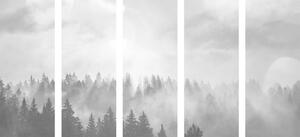 5-részes kép erdő ködben fekete fehérben