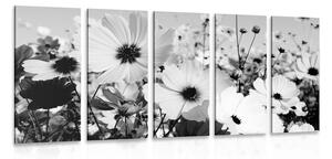 5-részes kép tavaszi virágok a réten fekete fehérben